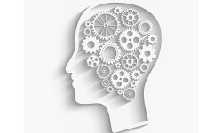 Для работы мозга