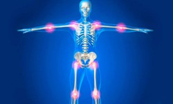 Для костей и суставов